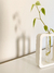 Vaso Garden
