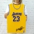 Placa Decorativa Camisa 23 LeBron James - Los Angeles Lakers