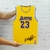 Placa Decorativa Camisa 23 LeBron James - Los Angeles Lakers - comprar online