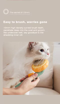 Escova para gatos, caes ,abóbora, bastante util - comprar online