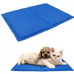 Tapete Gelado para Pet em PVC 30x40 (55)