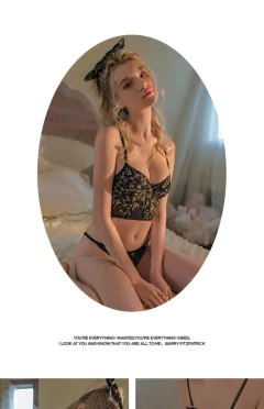 Sutiã e calcinha push up francês conjunto lingerie sexy intima conjunto - loja online