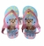 Chinelo Onça