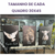 Quadro Tela LONNA FOSCA - TRIO- CÓD5 - comprar online