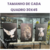 Quadro Tela LONNA FOSCA - TRIO- CÓD4 - comprar online