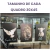 Quadro Tela LONNA FOSCA - TRIO- CÓD2 - comprar online