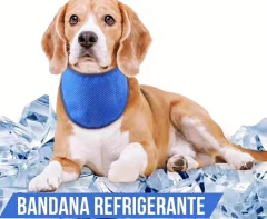BANDANA REFRIGERANTE - Momo's IMPORTACIONES 