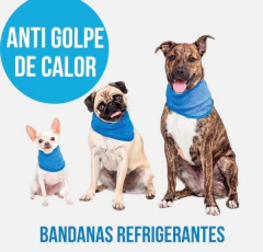 BANDANA REFRIGERANTE - tienda online