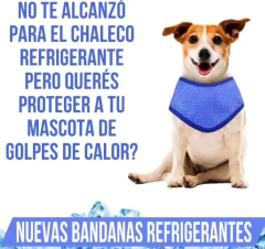 Imagen de BANDANA REFRIGERANTE