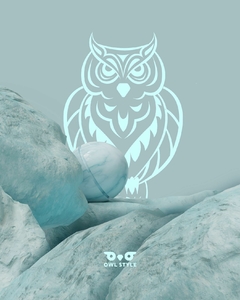 Banner de la categoría OWLSTYLE