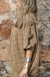 Conjunto Poncho e Saia - ADOLETA MODA FEMININA 