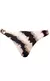 Top Twice Greta + Calcinha Basic Argola Greta - loja online