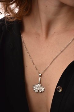 Dije Gingko en internet