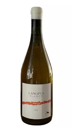 Canopus Semillon