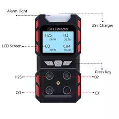 Detector de Gás Inflamável Portátil Industrial CO, H?S, O?, CH?, EX - comprar online