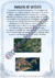 Mapa e Imagens de Satélite - Prof Larissa Ferraz