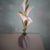 VASE BOLSA - tienda online