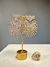 CONJUNTO FOSCO DOURADO