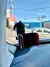 Suporte Veicular Celular Gps Ventosa Gruda Painel Automatic - loja online