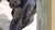 Imagen de Botas Unisex SD-BA5 Marron Seventy Degrees