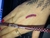 Lápis labial e olhos Ruby Kisses RK lip liner