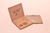 Paleta Iluminadora Angel Wings Pri Lessa 19g