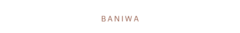 Banner da categoria BANIWA