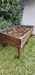 Monarca 200x100