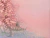 La Vie en Rose 60 x 80