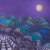 Luna Llena 80 x 120