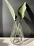 Florero de vidrio 30CM | Línea Floreros