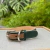 Coleira Verde detalhe em Bege - Classic Pets