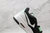 Imagem do Jordan Legacy 312 Low “Emerald Rise”