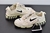 Nike Stussy x Air Zoom Spiridon Caged 2 Fossil - comprar online