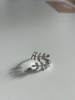 Anillo Fura en internet