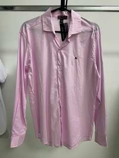 camisa tommy rosa