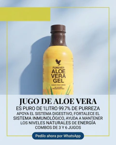 Pack x3 Jugos de Aloe Vera Gel (3 litros) - tienda online