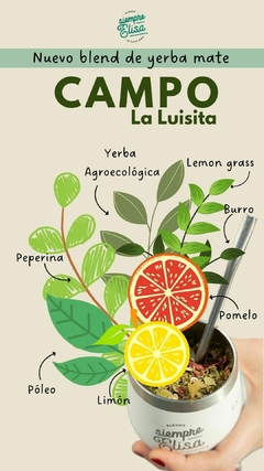 Blend de yerba mate - Campo - comprar online