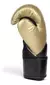 Guantes de Boxeo Everlast Elite 2 - Full Training