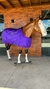 CAPA DE FRIO E CHUVA BOOTS HORSE