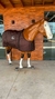 CAPA DE FRIO E CHUVA BOOTS HORSE - comprar online