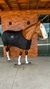 CAPA DE FRIO E CHUVA BOOTS HORSE