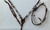 Imagem do CONJUNTO CABEÇADA + PEITORAL Y BOOTS HORSE