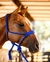 CABRESTO C/CABO TRANÇADO DE PARACORD BOOTS HORSE - loja online