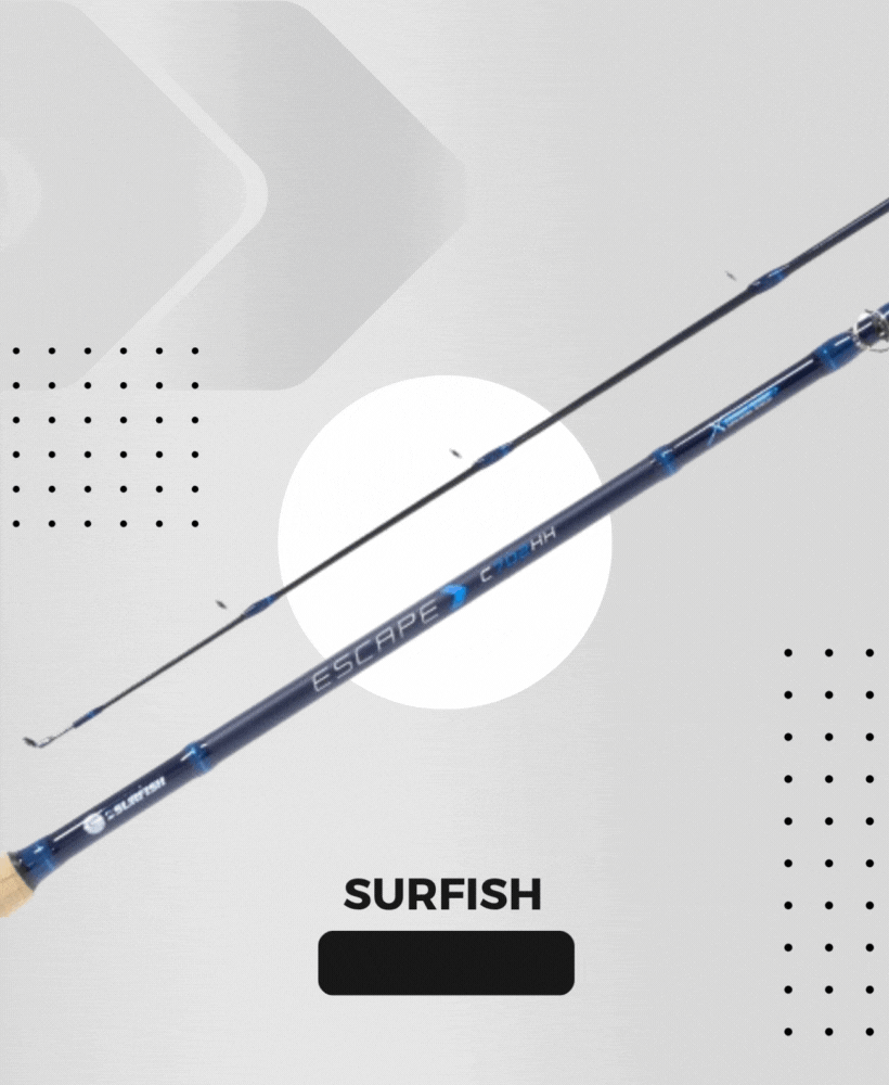 Carrusel Mundo Esturion SRL