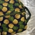 MOCHILA na internet