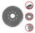 Coroa 44 Dentes Bicicleta Motorizada Moskito Kit Motor 2t - comprar online
