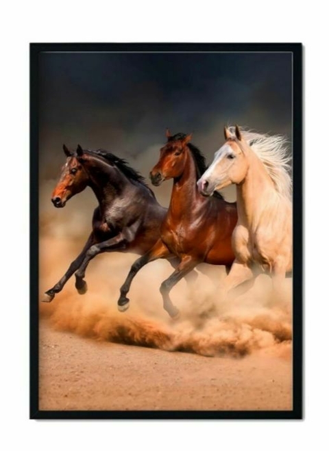 QUADRO DECORATIVO DIVERSOS 55 X 75