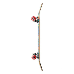 Tabla Completa Almost Thin Lizzy FP 7.875´´ Multicolor en internet