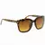 Imagem do Óculos Tom Ford Lenses